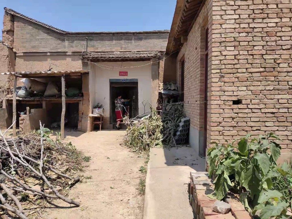 薛镇村汛期安全排查-富平县新时代文明实践中心