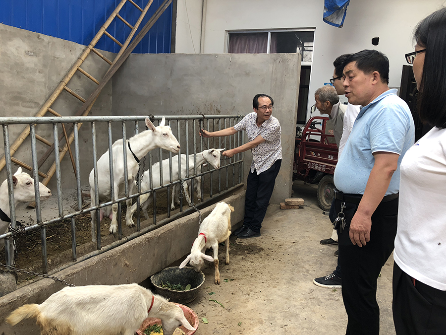 邀请畜牧专家为群众现场进行奶山羊养殖技术培训.jpg